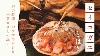 福井の冬の味覚「セイコガニ」とは？美味しさの理由やおすすめのお店も紹介