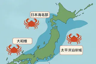 本ズワイガニの日本の産地