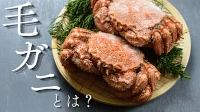 【保存版】毛ガニとは?旬の時期や値段、美味しい食べ方もあわせて紹介