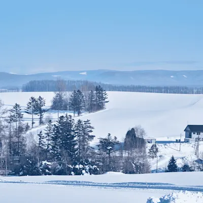 北海道のカニ情報 - 港から飲食店・イベント、おすすめのカニ種類まで