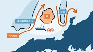 鳥取の海が豊かな理由