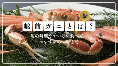 越前ガニとは？旬の時期やおいしい食べ方、おすすめのお店まで