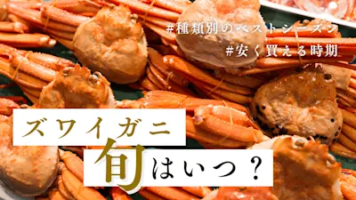 ズワイガニの旬は？種類・地域別のベストシーズンを紹介！美味しい時期と安い時期も