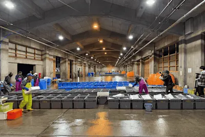 2025年松葉ガニ解禁日の詳しい様子