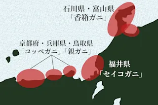 蟹の卵産地