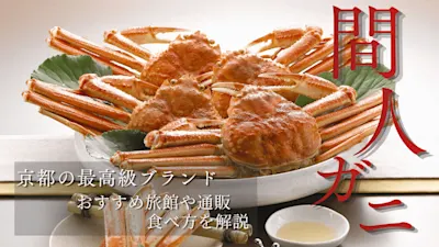 間人蟹(たいざがに)とは?読み方・値段相場・おすすめの旅館まで徹底紹介