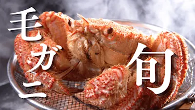 毛ガニの旬は？地域別の漁獲時期や美味しい季節