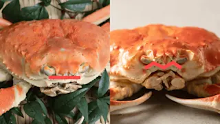 オオズワイガニの身体的特徴(口)