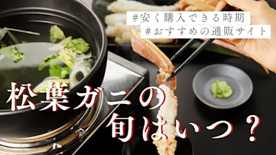 松葉ガニの旬はいつ?月ごとの特徴を紹介