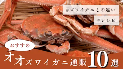 オオズワイガニとは?コスパ抜群の美味しさ!本ズワイガニや紅ズワイガニとの違いからおすすめ通販まで