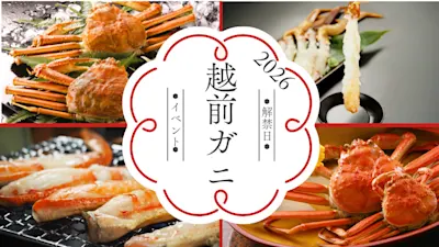【2026年】越前ガニ解禁日は11月6日！最速で食べる方法からイベントまで