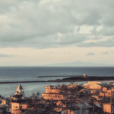 歯舞漁港の極上カニを食べるなら！美味しいお店と通販・旬やイベント情報