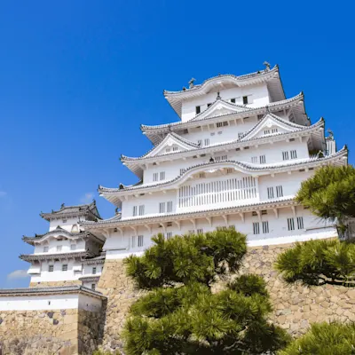 兵庫県のカニ情報 - 港から飲食店・イベント、おすすめのカニ種類まで