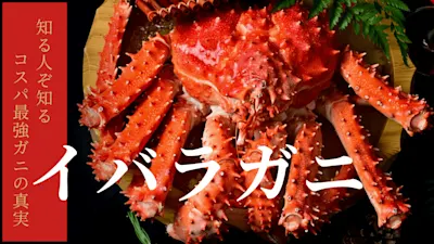 イバラガニを徹底解剖！タラバガニの仲間？アメリカではゴールデンキングクラブと呼ばれ親しまれる