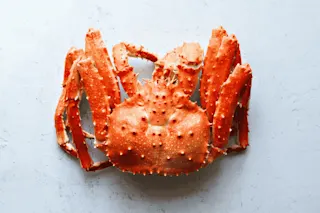 アブラガニ画像