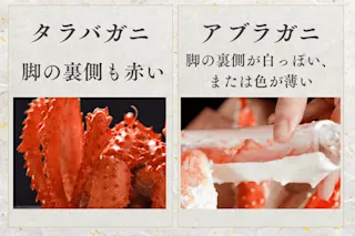 脚の裏側