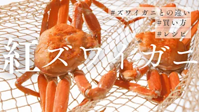 紅ズワイガニとは？値段や美味しさを他のカニと正直比較！漫画や画像で分かりやすく解説！