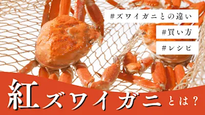 紅ズワイガニとは?値段や美味しさを他のカニと正直比較!漫画や画像で分かりやすく解説します!