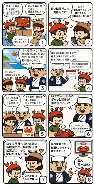 若松葉ガニとは？漫画で解説