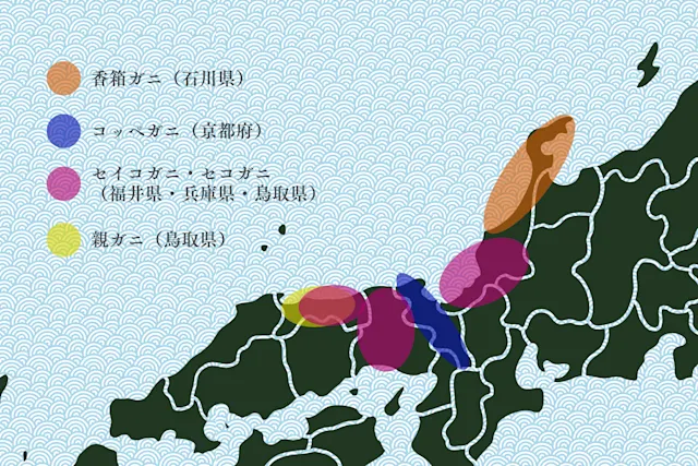 香箱ガニとセコガニや親ガニ等の違い