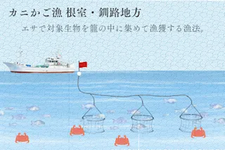 タラバガニカニかご漁
