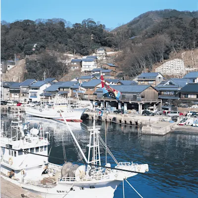 越前漁港で極上カニを食べるなら！旬や美味しいお店や通販・イベント情報