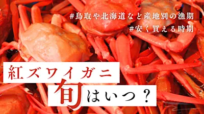 紅ズワイガニの旬は?美味しい時期やお得な時期などベストシーズンをまるっと解説
