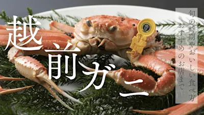 越前ガニとは？旬の時期やおいしい食べ方、おすすめのお店まで