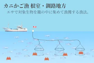 カニかご漁画像