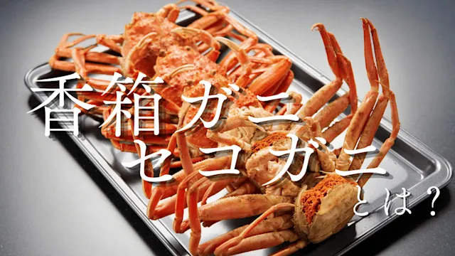 香箱ガニ・セコガニとは？外子や内子の絶品料理から解禁日、おすすめ