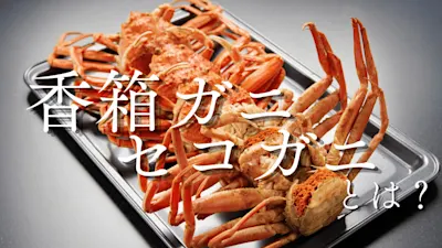 香箱ガニ・セコガニとは?外子や内子の絶品料理から解禁日、おすすめ購入方法まで解説!
