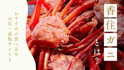 香住ガニとはどんなカニ?おすすめの食べ方やお店・通販サイトも