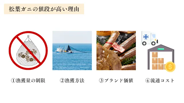 松葉ガニの値段が高い理由