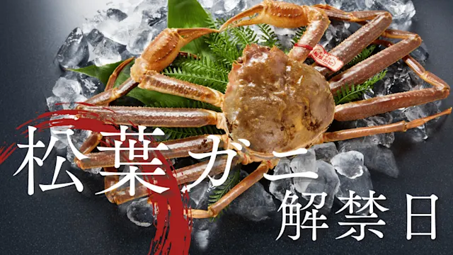 松葉ガニ解禁日カバー