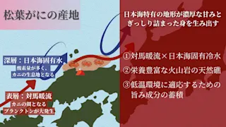 鳥取の海が豊かな理由
