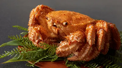 届いたカニの保存方法