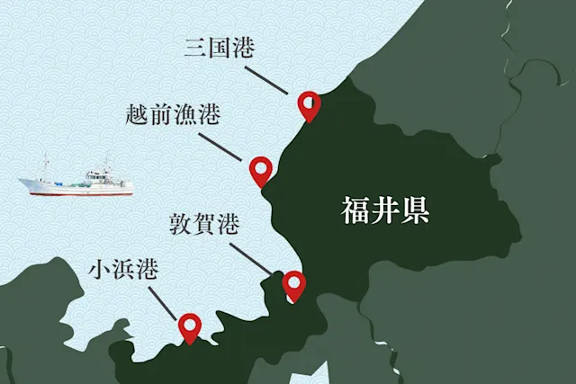 福井県のカニ漁港