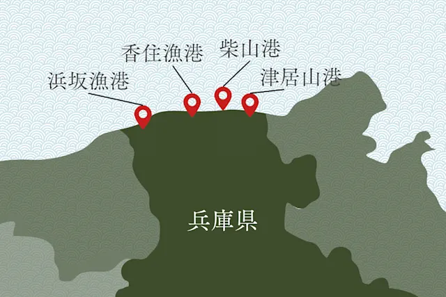 兵庫県の松葉ガニ漁港