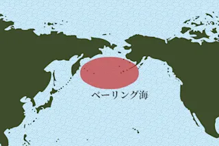 花咲ガニ産地ベーリング海_画像