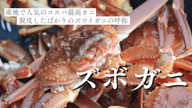 ズボガニ　カバー