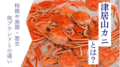 津居山カニとは?日帰り漁業による全国トップクラスの鮮度の高級ブランド