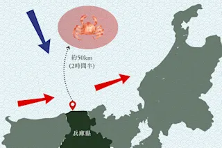 津居山カニとは？好漁場