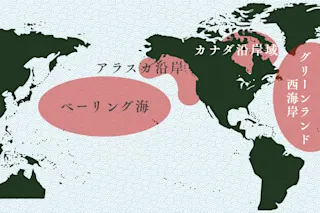 本ズワイガニの世界の産地