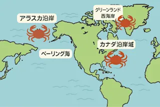 本ズワイガニの世界の産地