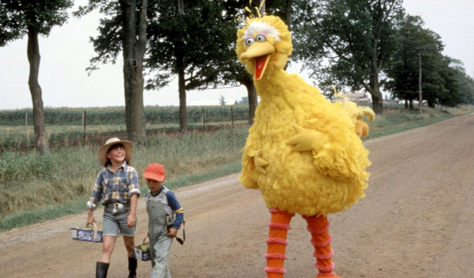 On Screen Follow That Bird