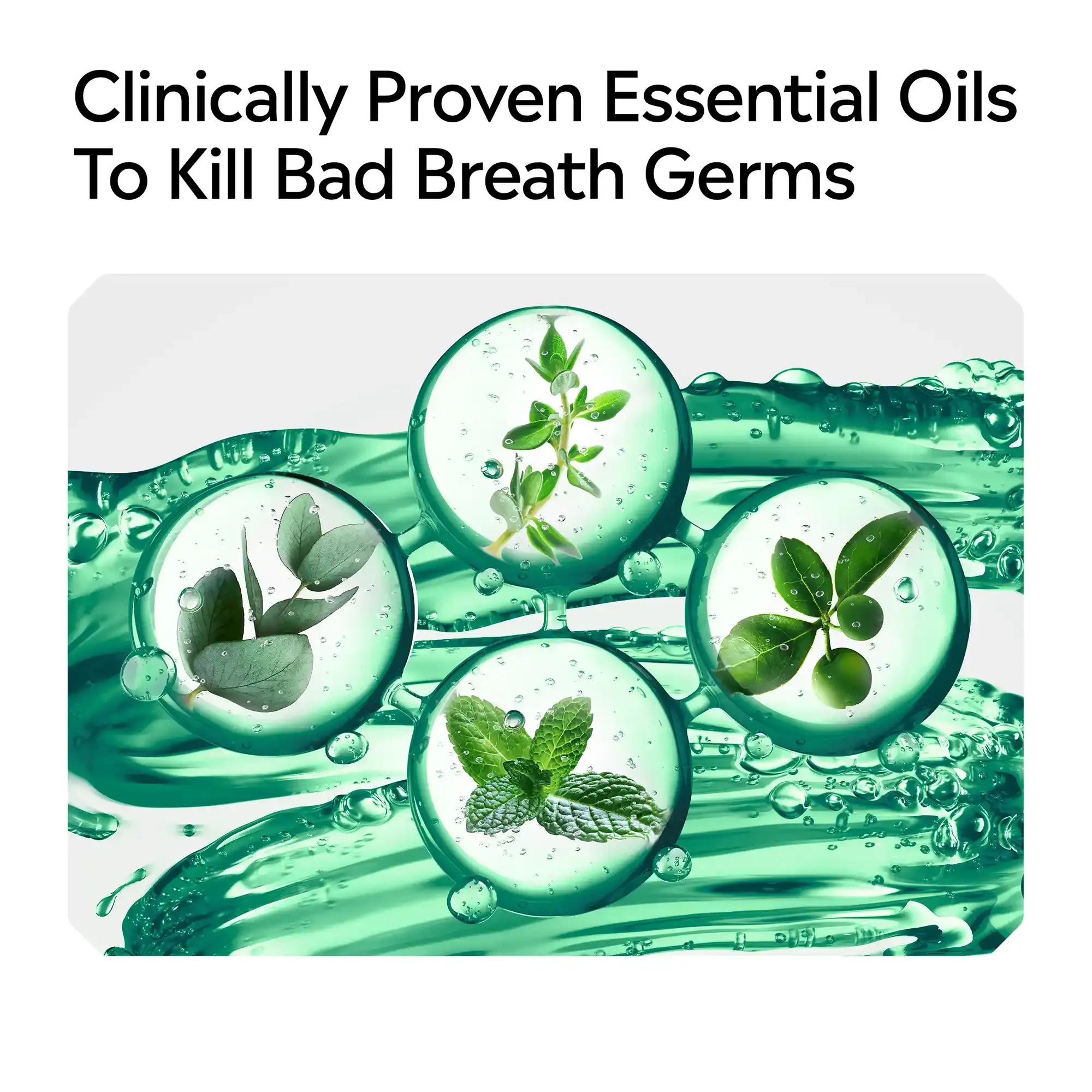 Clinically proven essential oils to kill bad breath germs
