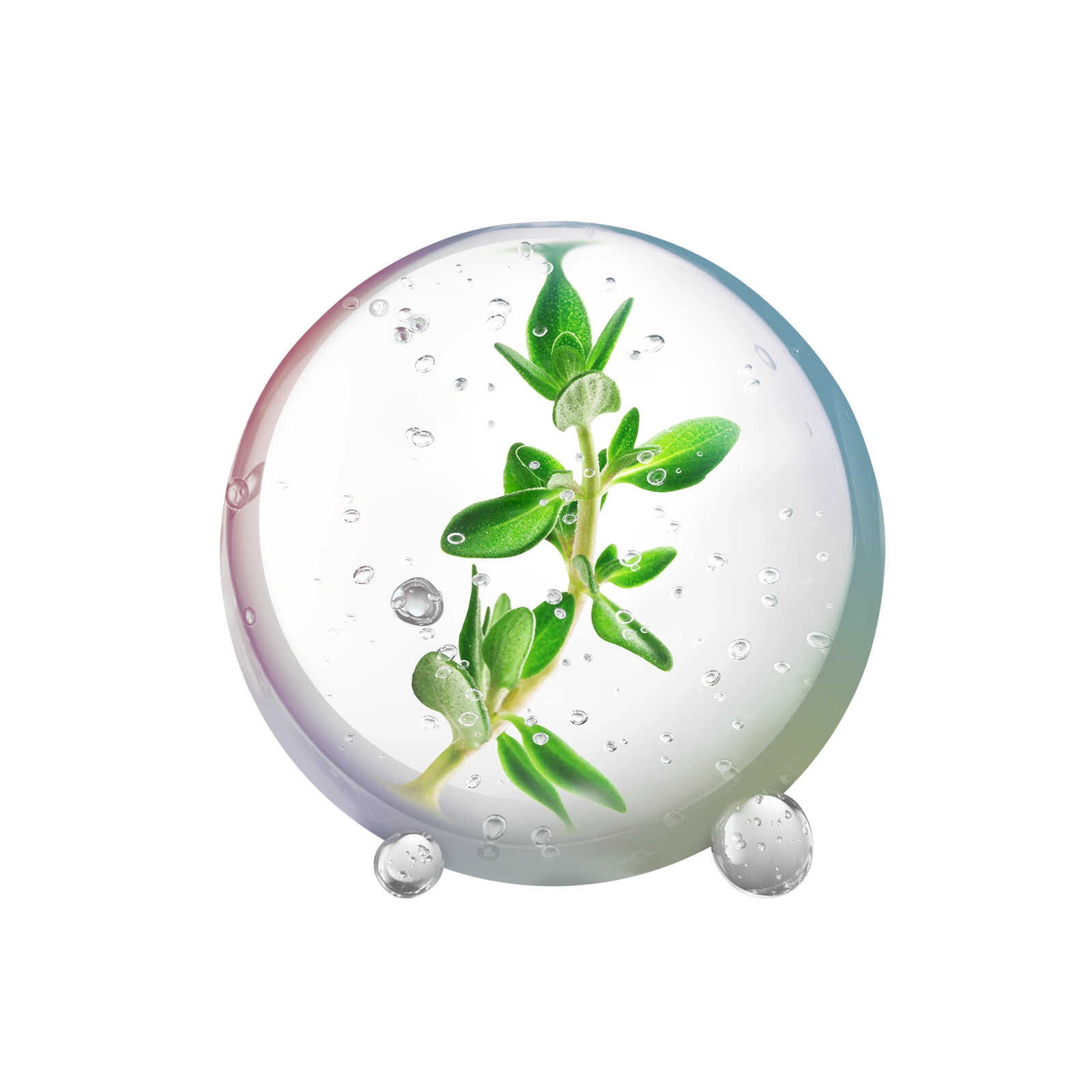 Menthyl salicylate icon