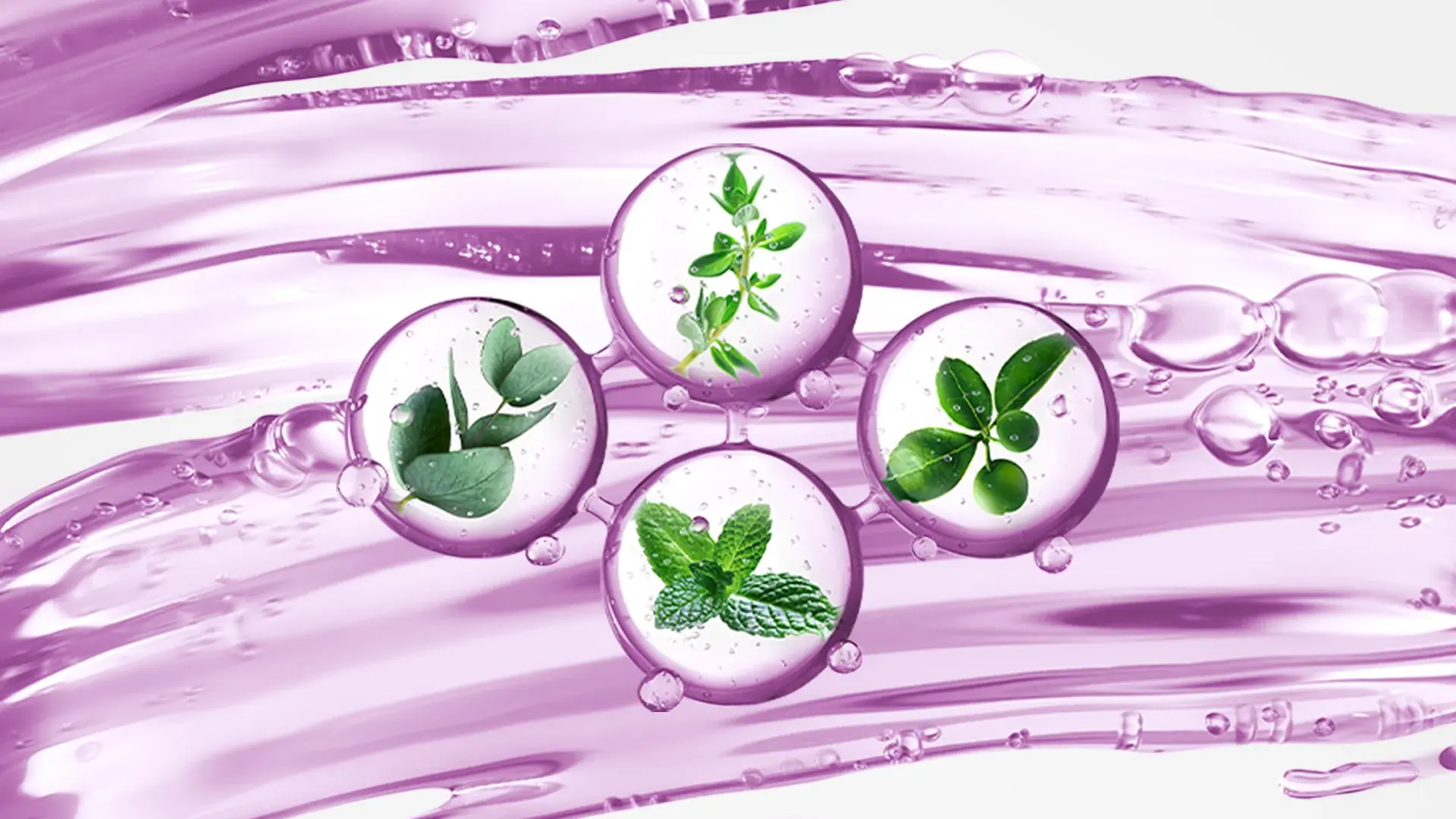 It All Starts With Our Ingredients