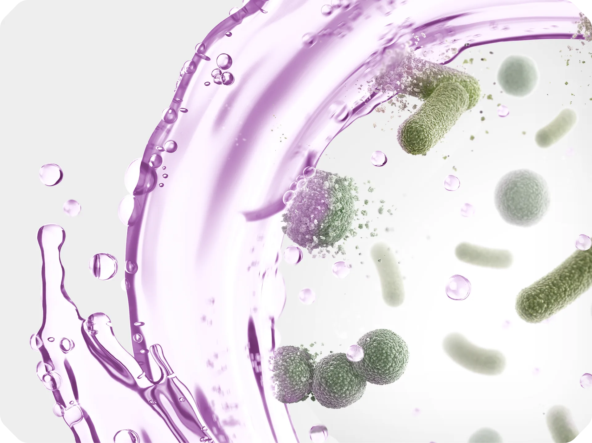 The four essential oils in Listerine products