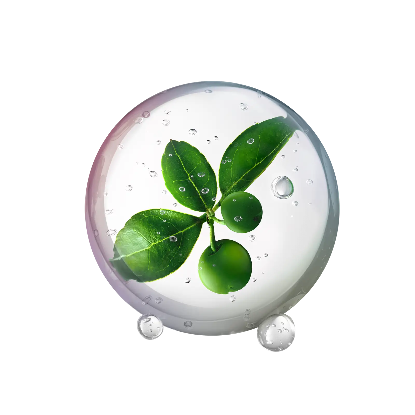 Menthyl salicylate icon